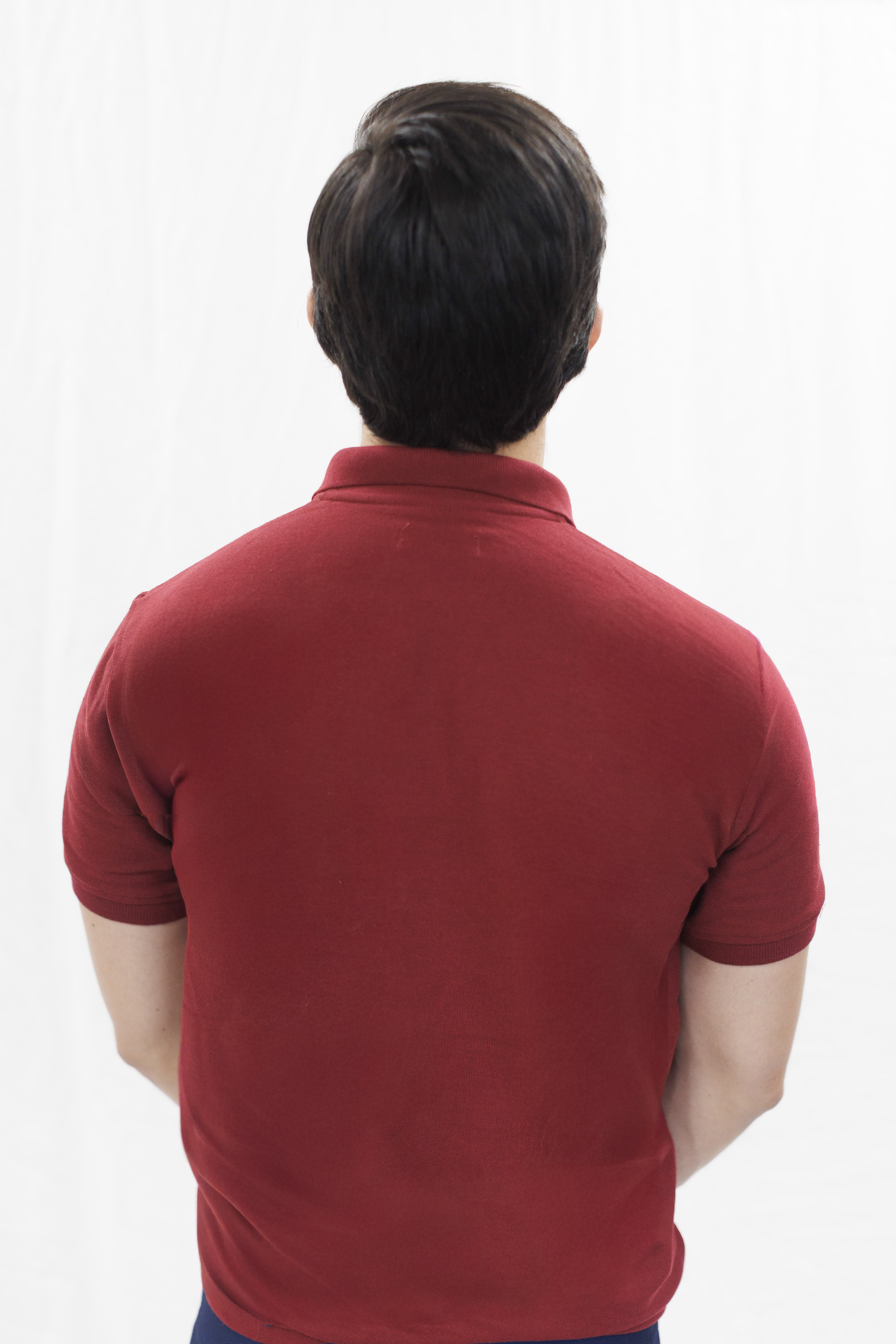 POLO ML H (ALG) thumbnail 3